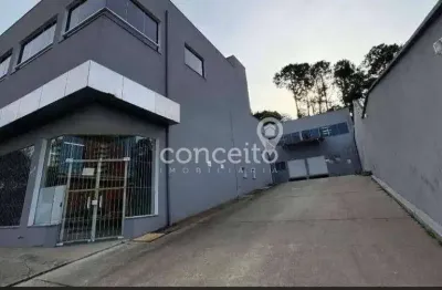 Casa para alugar na Vila Nova, Blumenau 