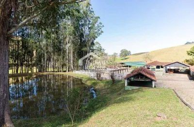 Fazenda à venda no Centro, Cunha 