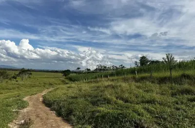 Fazenda à venda com 98,603 hectares no bairro triângulo em pindamonhangaba/sp.