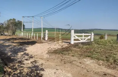 Fazenda à venda na Br  376, Colônia Dona LuÍza, Ponta Grossa