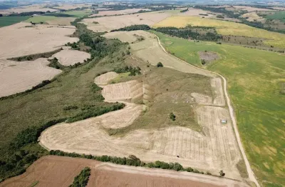 Fazenda à venda no Centro, Palmeira 