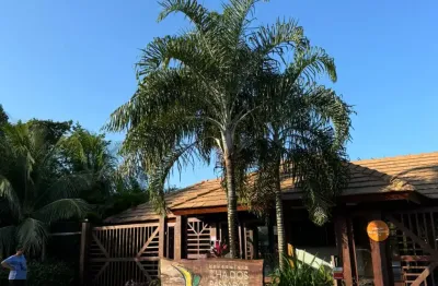 Terreno em condomínio fechado à venda na Rodovia BA-099, 1, Praia do Forte, Mata de São João