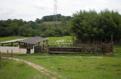 Sítio / fazenda a venda, no bairro pau queimado em piracicaba - sp