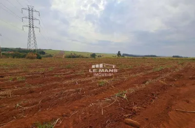 Terreno comercial para alugar em Conceição, Piracicaba 