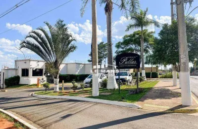 Apartamento para alugar no condomínio parque pallas no bairro campestre em piracicaba/sp