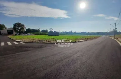 Terreno à venda, 176 m² por R$ 110.000 - Terra Nova - Saltinho/SP