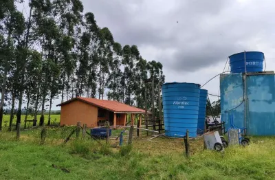 Sítio com granja a venda na região de tatuí-sp ?? ?   área total de 21,8 hectares ou 9 alqueires    3 galpões   capacidade 95 mil aves   integração jbs  boa topografia   parte em pasto e eucalipto   2