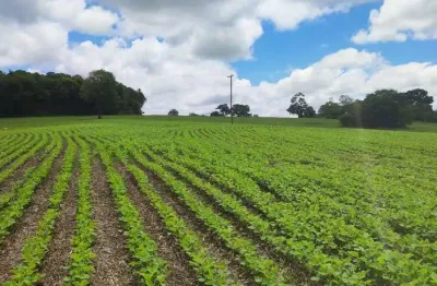 Excelente sítio a venda em itararé - sp ??   área total: 24,61 alqueires  área de plantio: 16 alqueires   restante: reserva e app   topografia: semi plana e levemente ondulada   solo: misto  hidrograf