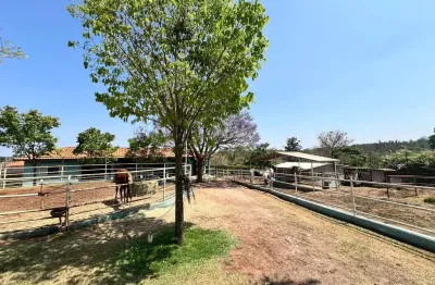 Imperdível! chácara em condomínio à venda em limeira-sp, bairro dos pires. 3 quartos, 1 suíte, 3 salas, 3 banheiros, 5 vagas, 800m².