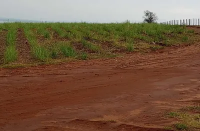 Fazenda de 500 alqueireis paulistas, sem benfeitorias, plantada em cana sai r$ 4.000,00 o alqueire pra arrendamento.