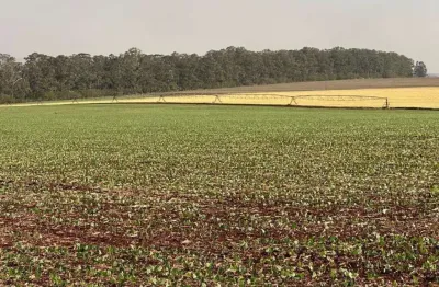 Excelente fazenda a venda na região de piraju-sp ??   localizada no município de bernardino de campos  área total de 235 alqueires ou 568,7 hectares   198 alqueires em plantio   102 alqueires c/ 6 piv