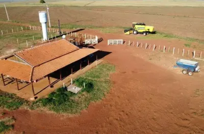 Fazenda a venda na região de presidente prudente-sp ??    excelente oportunidade de negócio e investimento    localizada no município de presidente epitácio   área total de 223 alqueires   excelente a
