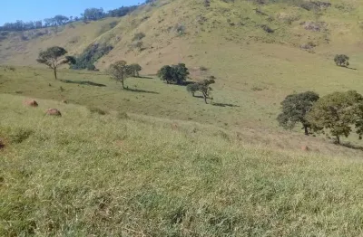 Fazenda 205,50  hectares. toda formada .  tem curral em concreto e fio de aço brete balança  curral para 600 cabeças com 6 divisões.   fazenda  com du