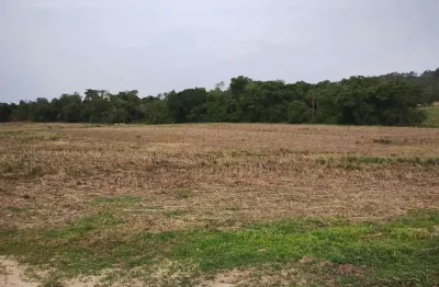 Sítio a venda em angatuba-sp   área total: 32,91 hectares ou 13,6 alqueires   10 alqueires de aproveitamento   terra mista de lavoura  rico em água, nascente, ribeirão e rio guareí no fundos   boa top