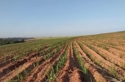 Fazenda de luxo à venda em getulina-sp: 3 quartos, 1 suíte, 3 salas, 2 banheiros, 5 vagas de garagem, 2.831.400,00 m² de área.