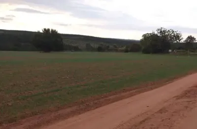 Exclusiva fazenda à venda em itapetininga-sp: 2 quartos, 1 sala, 1 banheiro e 3 vagas de garagem em área rural de 1.282.600,00 m²