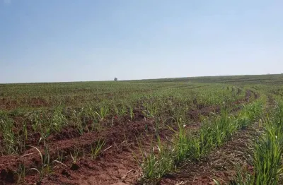 Fazenda à venda em nova granada-sp, zona rural: 1 quarto, 1 banheiro, 1.718.200,00 m² de área. venha conferir!
