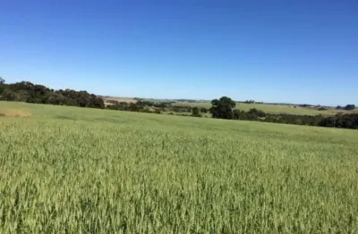 Oportunidade única: sitio à venda em itapetininga-sp, bairro área rural, 1 quarto, 1 banheiro, 895.400,00 m² de área!