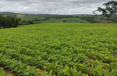 Sítio 20 alqueires, sendo 15 alqueires em plantio   restante app, reserva e água   terra mista   topografia levemente ondulada e decline sentido a águ