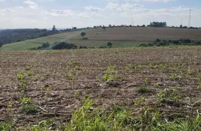 Fazenda 50 alqueires, 40 alqueires plantio, boa topografia   terra vermelha a mista   ribeirão e açude   barracão simples   ótima logística e acesso