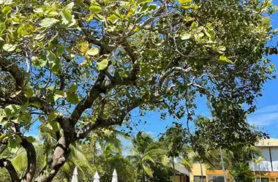 Casa duplex 70m2 2 dorms 1 suíte, 1 vaga superior norte-sul condomínio: ?acesso direto à rua da praia ?ampla área verde a beira da lagoa ?10 min à pé