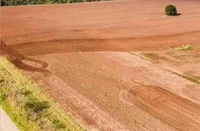 Sitio 42 alqueires  35 alqueires em plantio  topografia plana e semi plana  terra mista a argilosa   represa pequena e ribeirão nos fundos   boa logís