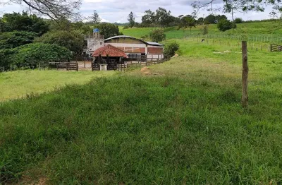 Fazenda 128,26 hectares ou 53 alqueires   formada em pasto   conta com uma estrutura de primeira qualidade para pecuária de corte  boa topografia e bo