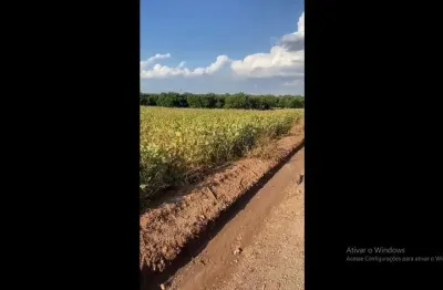 Sítio de 01 alqueires 70 mts de frente.. fica no santa rosa próximo ajinomoto. r$650mil