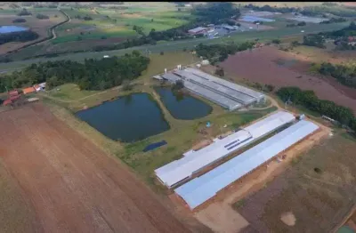 Sitio c/ granja 8 alqueires, 6 barracões modernos sendo 2 barracões novo, granjas automáticas, 220 mil frangos, energia solar e gerador, boa de água