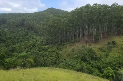 Fazenda de eucaliptos 241,88 alqueires ou 585,36 hectares   aproveitamento: 145,90 alqueires ou 353,08 hectares  120 alqueires ou 290,42 hectares em e