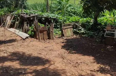 Sítio 5 alqueires em casa branca 5 mil pés de café produzindo com divisórias com trator e casa de caseiro e casa para morar 800,000,00 mil 1 km de estrada de chão
