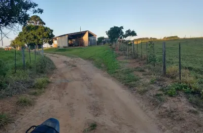 Fazenda 99 alqueires  formada em lavoura e pecuária  terra vermelha a mista   topografia plana a levemente ondulada  rica em água, margeia o rio   ben