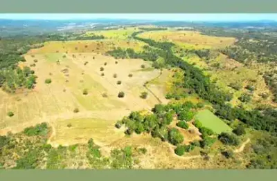 Fazenda 46 alqueires  dupla aptdão anápolis- go 15 km do daia 03 km de estrada de chão 21 alqueires planta 75 há  argila 28% toda cercada  córrego nas