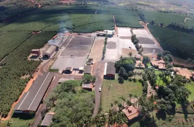 Fazenda de café -área total 1.333 hectares -área com plantio de café 850 hectares contendo 4 milhões de pés de café e altitude de 850 metros  -planta
