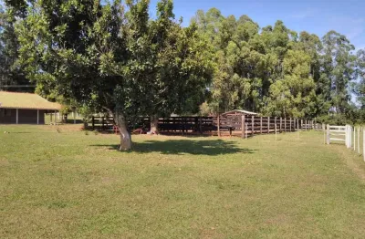 Fazenda 47 alqueires  90% de aproveitamento  terra mista de cultura formada em pasto   03 nascentes e 2 represas  cerca toda nova com arame paraguaio