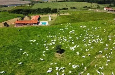 Fazenda 70 alqueires, formada em pasto, ótima topografia, solo misto, boa de água, represa, *benfeitorias: casa sede com piscina, casa de caseiro