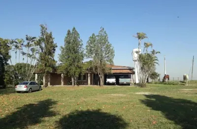 Fazenda 81,5 alqueires, 56 alqueires em cana, usina grupo zambianco 40 toneladas 10 alqueires em grãos restante pasto, reserva e app terra mista verme