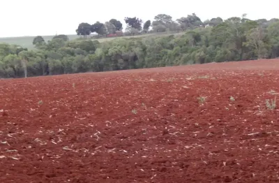 Sitio 15,7 alqueires ou 38 hectares 10 alqueires para lavoura restante reserva e app topografia plana terra vermelha ribeirão na divisa 2 casas simple