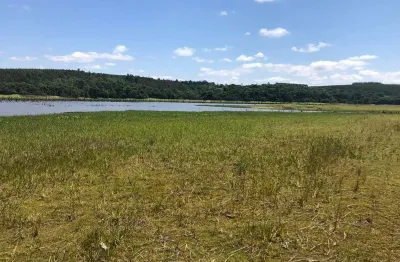 Fazenda área total 62 alqueires   área em plantio 49 alqueires  topografia plana  terra mista a argilosa   rica de água  pega o rio paranapanema  argi