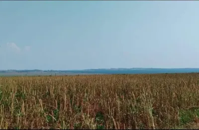 Oportunidade de arrendamento no estado de são paulo ??   - arrendamento para lavoura de grãos ou laranja ? ?  * localizada na região de teodoro sa