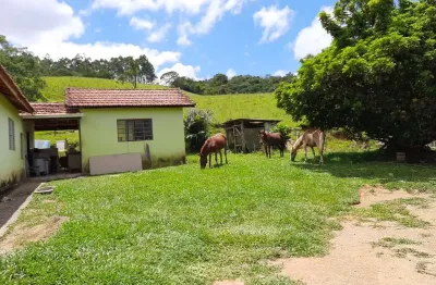Sítio 10 alqueires ótima área para gado, eucalipto ou pinus casa sede boa e galpão simples boa de água, córrego e nascentes  formada em pasto
