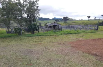 Fazenda 402 alqueires  - sendo 140 alqueires em plantio de grãos (planta mais 40 alqueires)   - 20% reserva e app  - restante todo em pasto   - solo