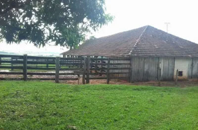 Fazenda 140,5 alqueires, topografia plana, terra vermelha, 1km da rod raposo, 50kms de presidente prudente, 50 alqueires lavoura grãos, rest. pecuária