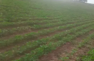 Sítio com 12 alqueires em pilar do sul a 5 km do asfalto com documentação 100 %  uma casa ! ótima oportunidade de negócio