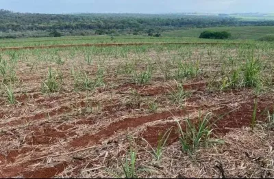 Fazenda com cana a venda na região de são carlos-sp ??   área total 67 alqueires   53 alqueires em cana  usina raízen  53 toneladas /alqueires  contrato até 2027  topografia plana e levemente ondulada
