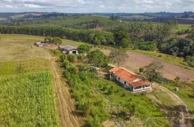 Sítio 10 alqueires, porteira fechada, dois trator, 40 cabeça de búfalo, 2 casas, 1 barracão, três estufas, rico em água com lago, ótima localização