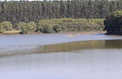 Fazenda 194 alqueires, 135 alqueires em eucalipto, rica em água com represa, casa caseiro, barracão, terra vermelha, topografia boa