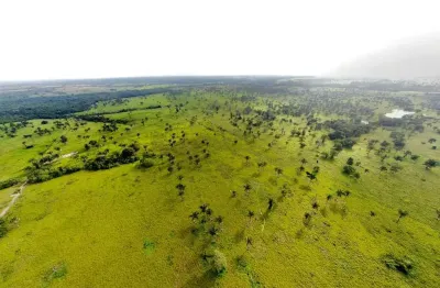 Fazenda 335 alqueires, 260 alqueires em pasto, 900 hectares podendo plantar, 100% plana, rica em água, casa sede, curral, ótima localização