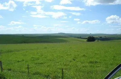 Fazenda 1194 alqueires, montada e estruturada na pecuária, topografia plana, terra vermelha, rica em água, casa sede, 11 casas colonos, barracão