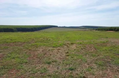 Fazenda a venda na região de bauru-sp ??   - área total de 71 alqueires ou 171,82 hectares   - 62 alqueires ou 151 hectares em plantio de grãos   -